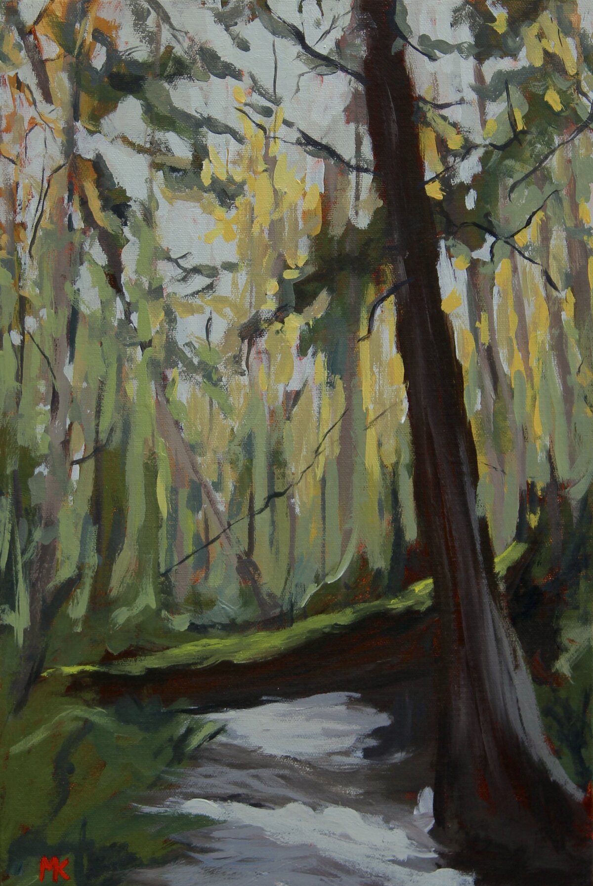 Gabriola Island Brook