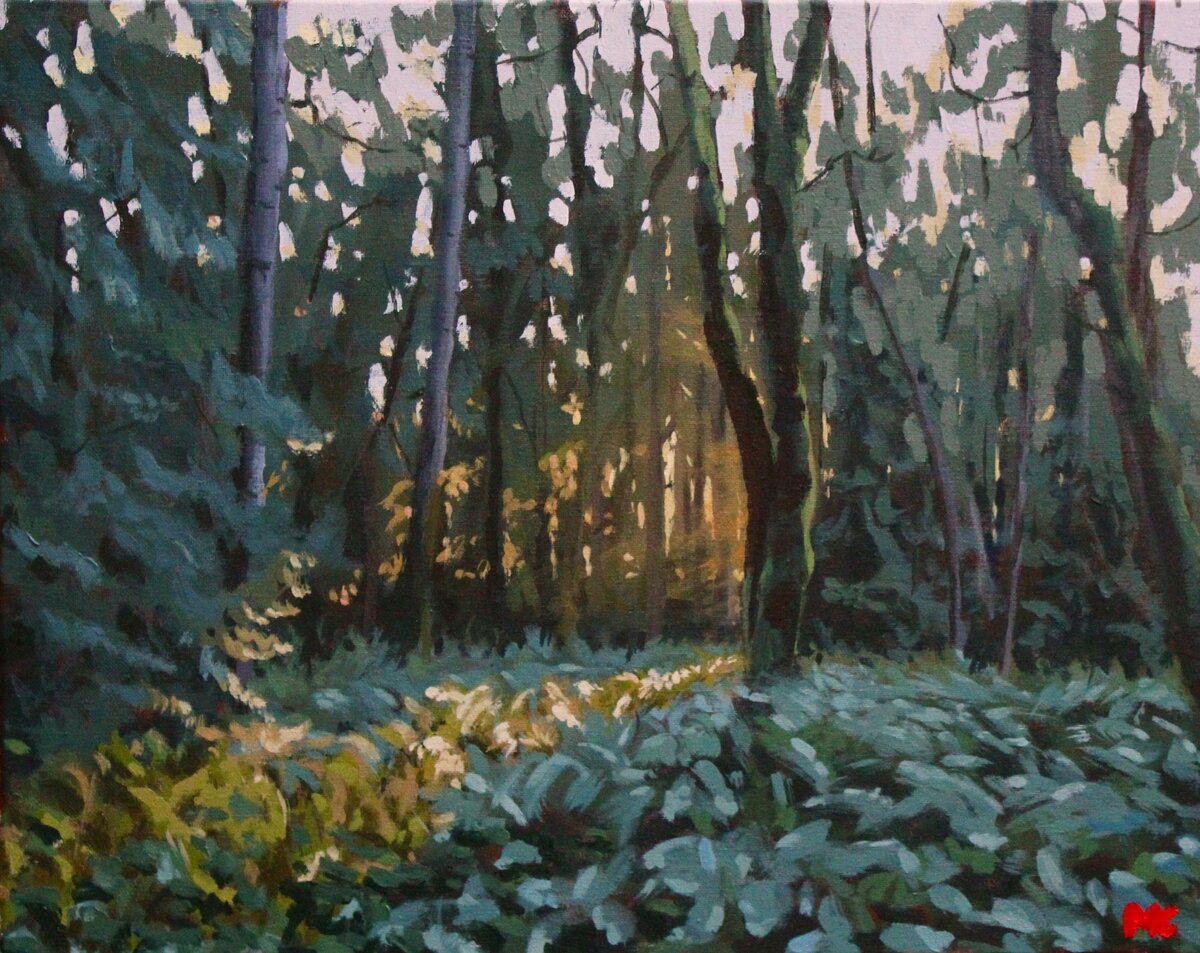 Gabriola Sunlight Study