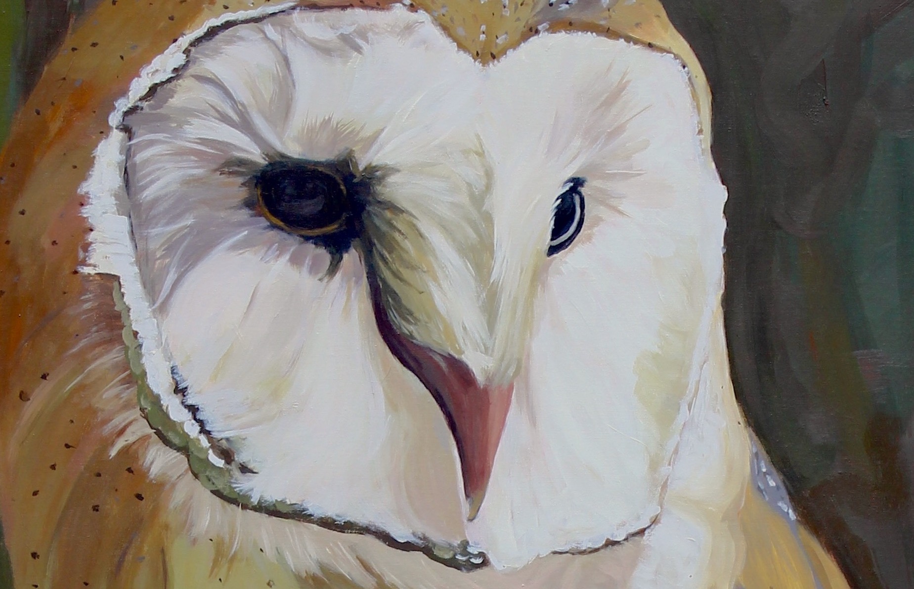 Barn Owl Commission Detail