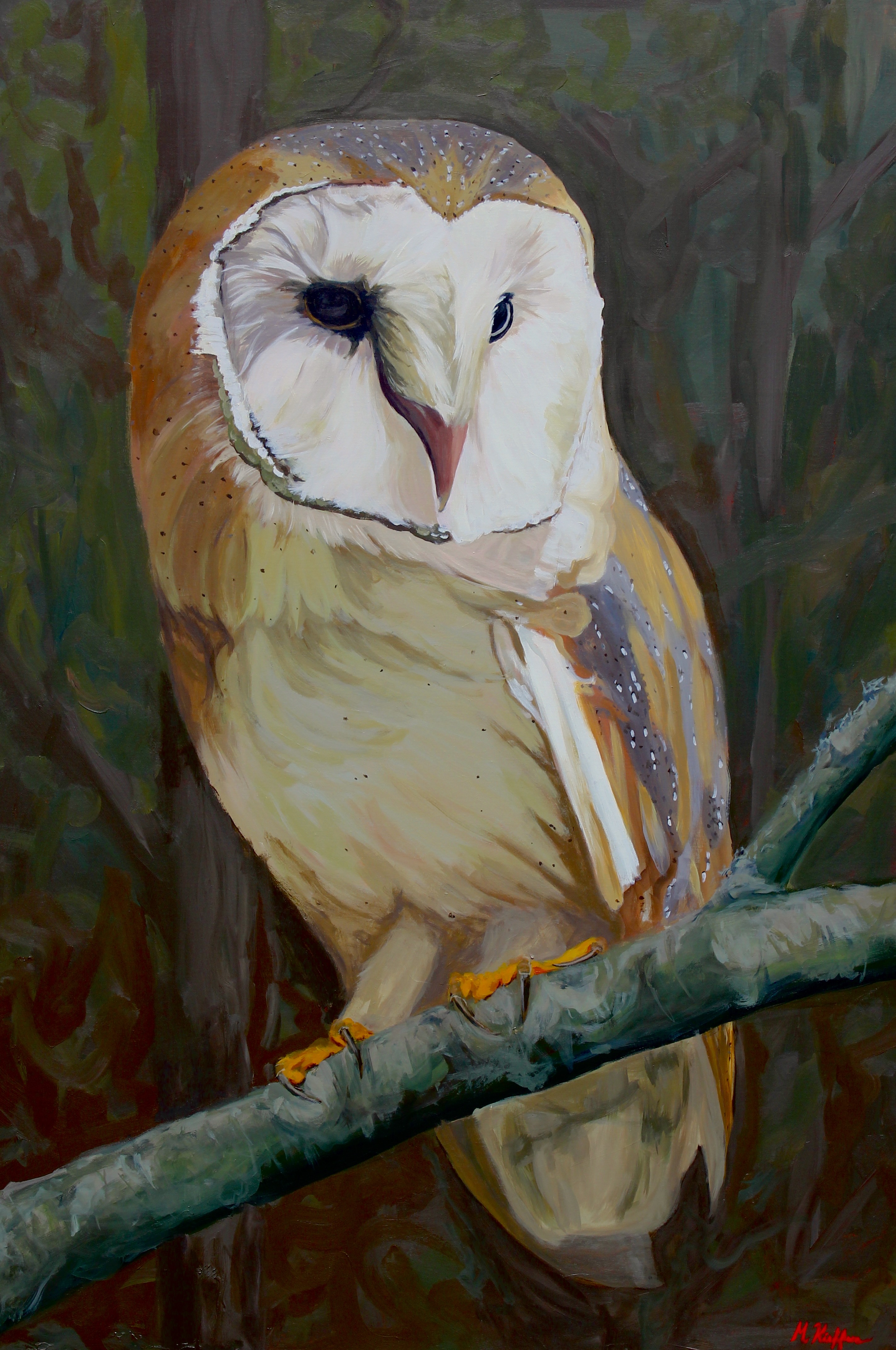 Barn Owl Commission
